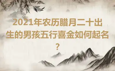2021年农历腊月二十出生的男孩五行喜金如何起名？