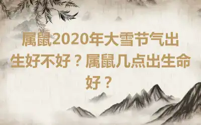属鼠2020年大雪节气出生好不好？属鼠几点出生命好？