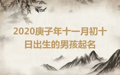 2020庚子年十一月初十日出生的男孩起名