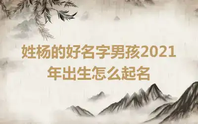 姓杨的好名字男孩2021年出生怎么起名