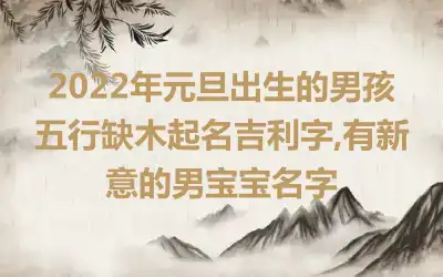 2022年元旦出生的男孩五行缺木起名吉利字,有新意的男宝宝名字