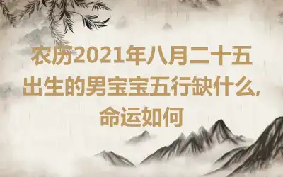 农历2021年八月二十五出生的男宝宝五行缺什么,命运如何