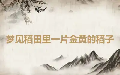梦见稻田里一片金黄的稻子