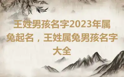 王姓男孩名字2023年属兔起名，王姓属兔男孩名字大全