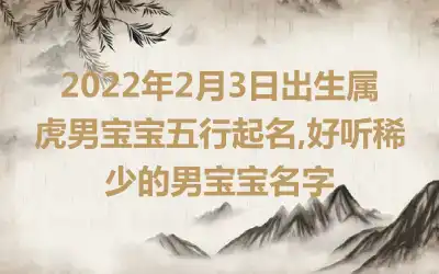 2022年2月3日出生属虎男宝宝五行起名,好听稀少的男宝宝名字