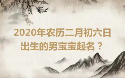 2020年农历二月初六日出生的男宝宝起名？