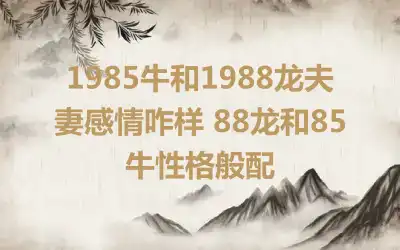 1985牛和1988龙夫妻感情咋样 88龙和85牛性格般配