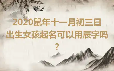 2020鼠年十一月初三日出生女孩起名可以用辰字吗？