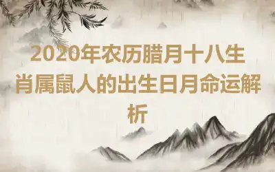 2020年农历腊月十八生肖属鼠人的出生日月命运解析