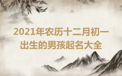 2021年农历十二月初一出生的男孩起名大全