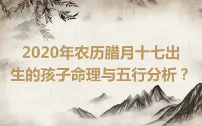 2020年农历腊月十七出生的孩子命理与五行分析？