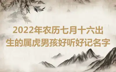 2022年农历七月十六出生的属虎男孩好听好记名字