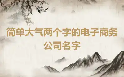 简单大气两个字的电子商务公司名字