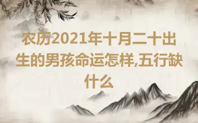 农历2021年十月二十出生的男孩命运怎样,五行缺什么