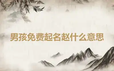 男孩免费起名赵什么意思