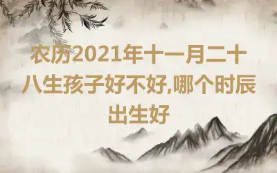 农历2021年十一月二十八生孩子好不好,哪个时辰出生好