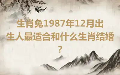 生肖兔1987年12月出生人最适合和什么生肖结婚？