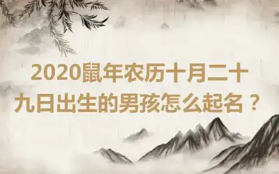 2020鼠年农历十月二十九日出生的男孩怎么起名?