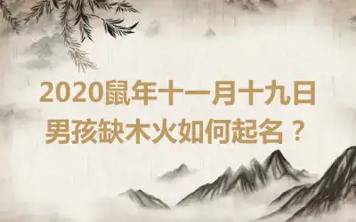 2020鼠年十一月十九日男孩缺木火如何起名？