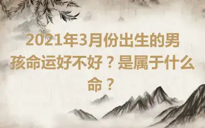 2021年3月份出生的男孩命运好不好？是属于什么命？