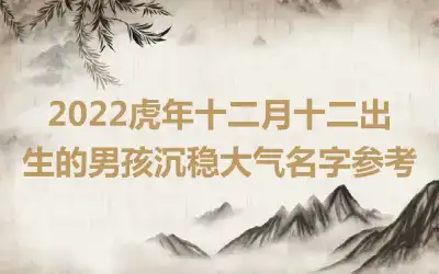 2022虎年十二月十二出生的男孩沉稳大气名字参考