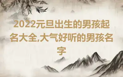 2022元旦出生的男孩起名大全,大气好听的男孩名字
