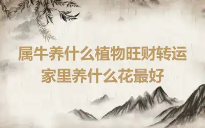 属牛养什么植物旺财转运 家里养什么花最好