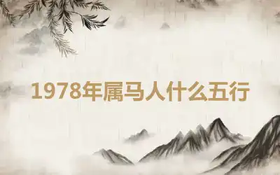 1978年属马人什么五行