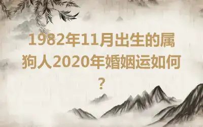 1982年11月出生的属狗人2020年婚姻运如何？