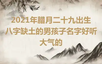 2021年腊月二十九出生八字缺土的男孩子名字好听大气的
