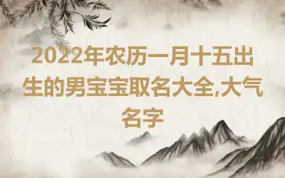 2022年农历一月十五出生的男宝宝取名大全,大气名字