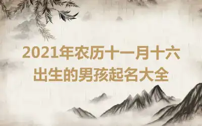 2021年农历十一月十六出生的男孩起名大全