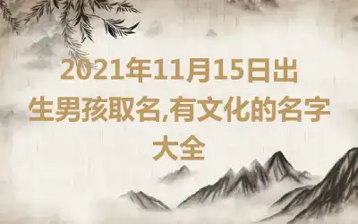 2021年11月15日出生男孩取名,有文化的名字大全