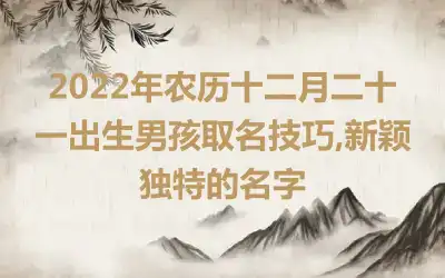 2022年农历十二月二十一出生男孩取名技巧,新颖独特的名字