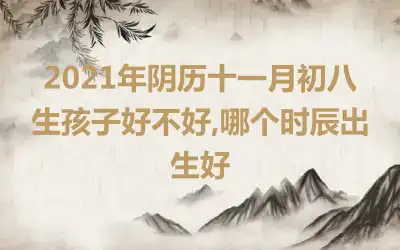 2021年阴历十一月初八生孩子好不好,哪个时辰出生好