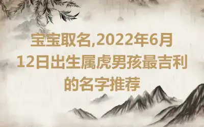 宝宝取名,2022年6月12日出生属虎男孩最吉利的名字推荐