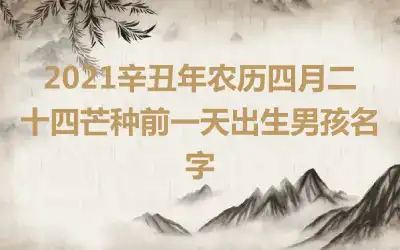 2021辛丑年农历四月二十四芒种前一天出生男孩名字
