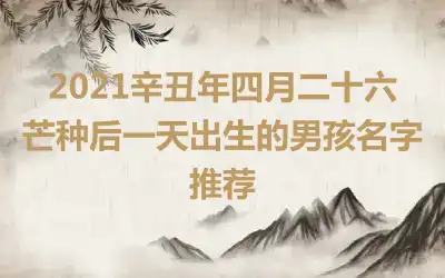 2021辛丑年四月二十六芒种后一天出生的男孩名字推荐