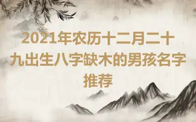 2021年农历十二月二十九出生八字缺木的男孩名字推荐