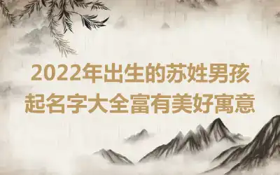 2022年出生的苏姓男孩起名字大全富有美好寓意