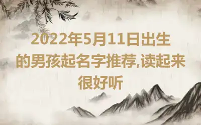 2022年5月11日出生的男孩起名字推荐,读起来很好听