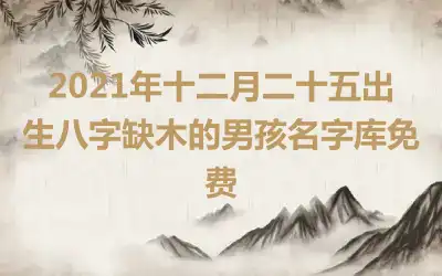 2021年十二月二十五出生八字缺木的男孩名字库免费