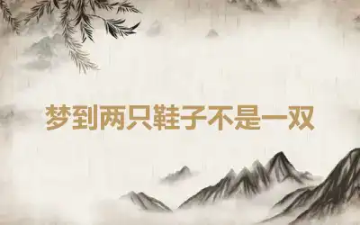 梦到两只鞋子不是一双