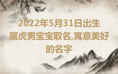 2022年5月31日出生属虎男宝宝取名,寓意美好的名字