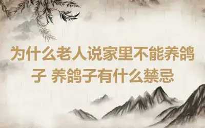 为什么老人说家里不能养鸽子 养鸽子有什么禁忌