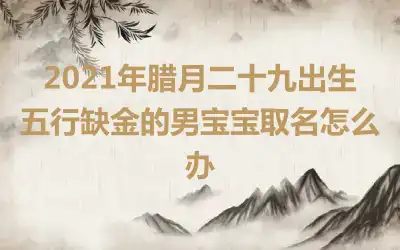 2021年腊月二十九出生五行缺金的男宝宝取名怎么办