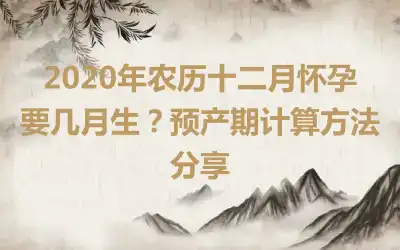 2020年农历十二月怀孕要几月生？预产期计算方法分享