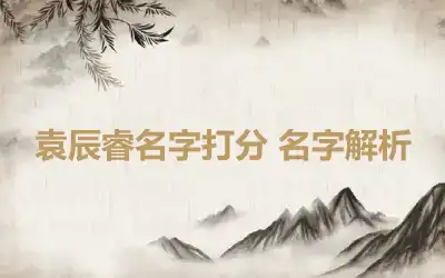 袁辰睿名字打分 名字解析