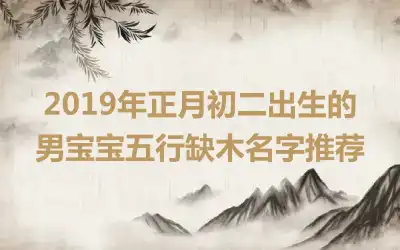 2019年正月初二出生的男宝宝五行缺木名字推荐