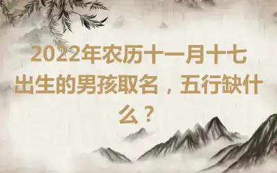 2022年农历十一月十七出生的男孩取名，五行缺什么？